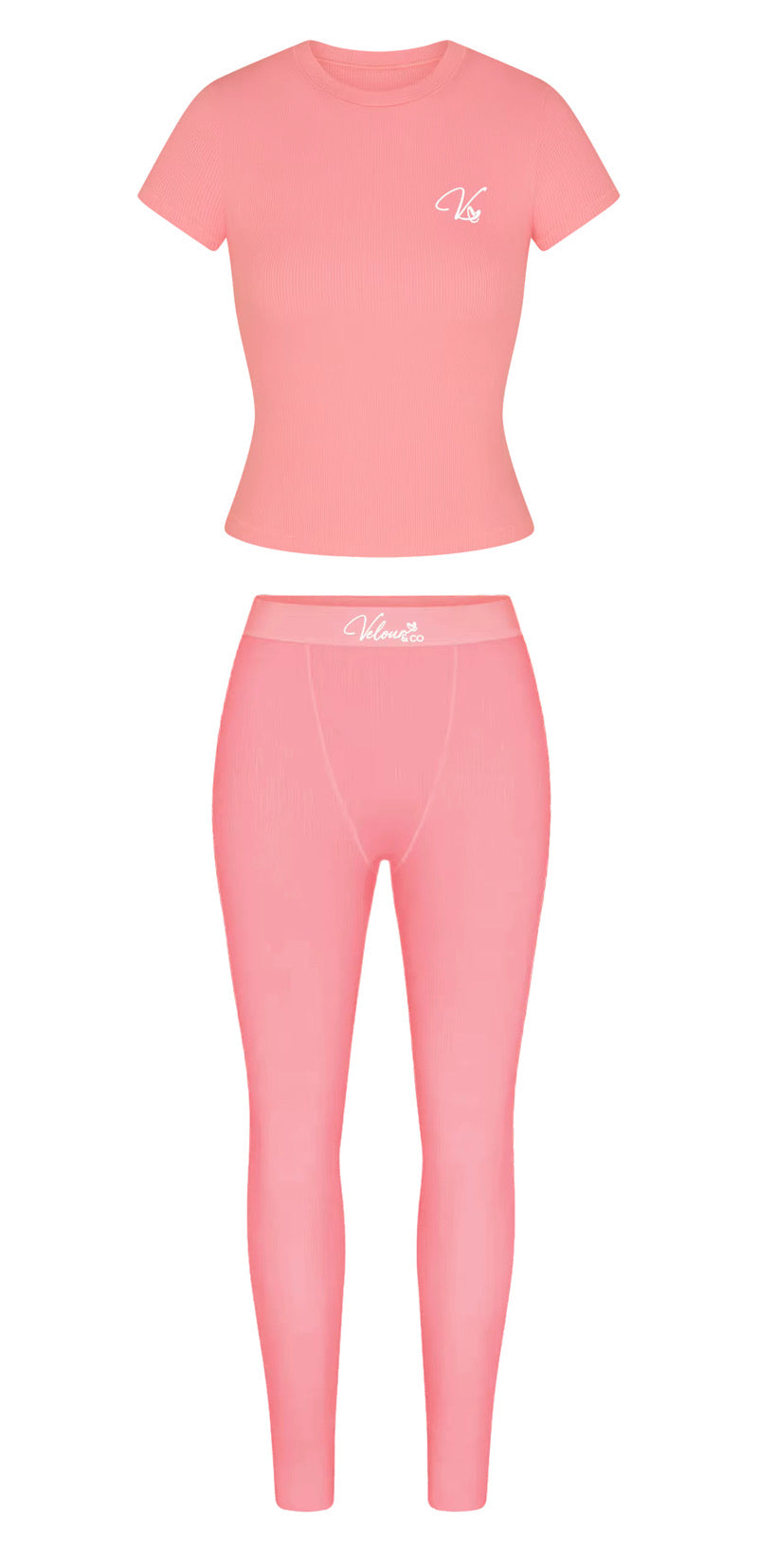 Cozy Coral